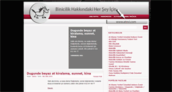 Desktop Screenshot of binicilikkursu.org